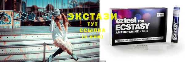 ECSTASY Вяземский